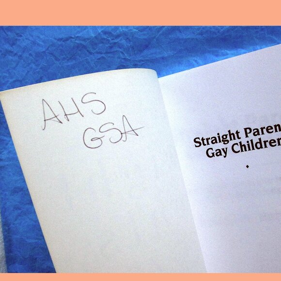 Book - Straight Parents, Gay Children: Inspiring Families to Live Honestly.... - Picture 12 of 14